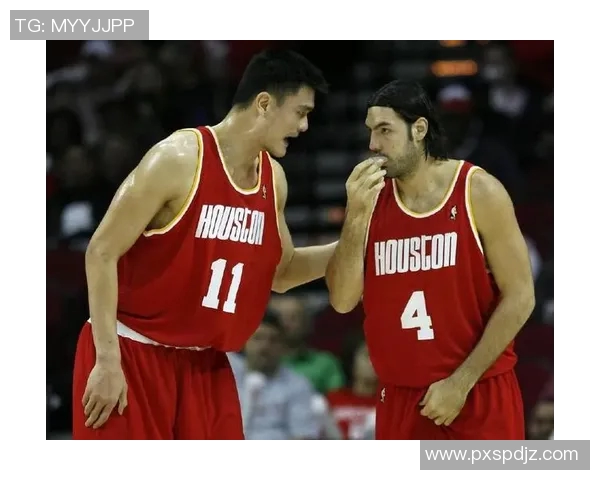 CBA球队赛季训练计划与效果评估