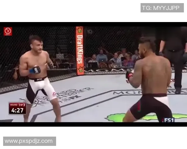 MMA格斗之夜：KO瞬间集锦